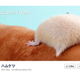 Illustration for article titled A Facebook Page Dedicated Entirely to Hamster Butts